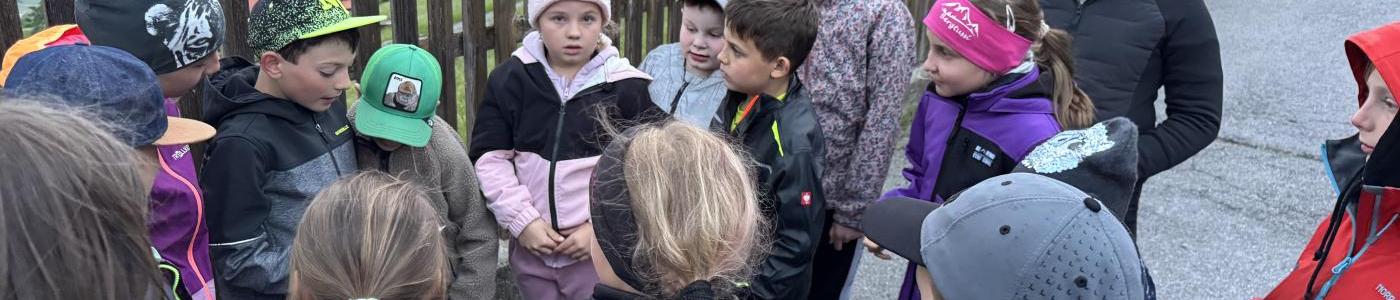 Räubernacht Schatzsuche